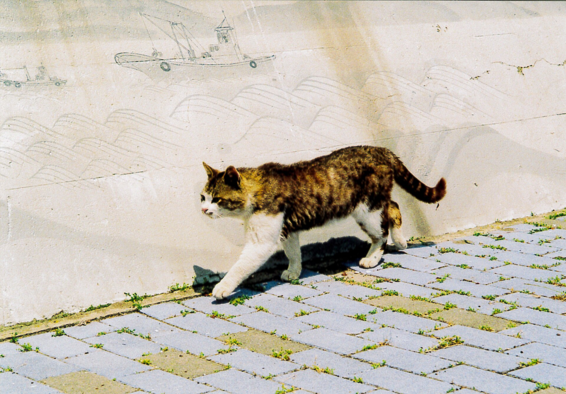 田代島の船と波が描かれた岸壁沿いを歩く猫